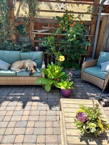 104 Midland Crescent Se, Calgary, AB - Outdoor With Deck Patio Veranda