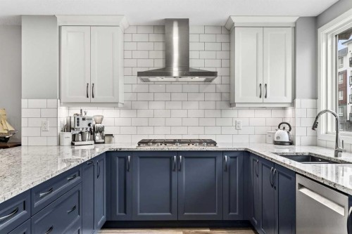 322 Masters Row Se, Calgary, AB - Indoor Photo Showing Kitchen With Upgraded Kitchen