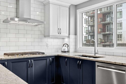 322 Masters Row Se, Calgary, AB - Indoor Photo Showing Kitchen With Upgraded Kitchen