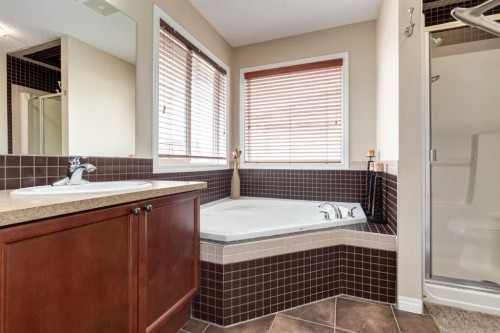82 Everglen Crescent Sw, Calgary, AB - Indoor Photo Showing Bathroom