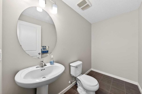 148 Walden Square Se, Calgary, AB - Indoor Photo Showing Bathroom
