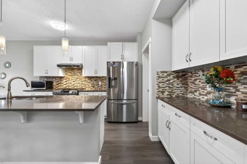 148 Walden Square Se, Calgary, AB - Indoor Photo Showing Kitchen With Stainless Steel Kitchen With Upgraded Kitchen