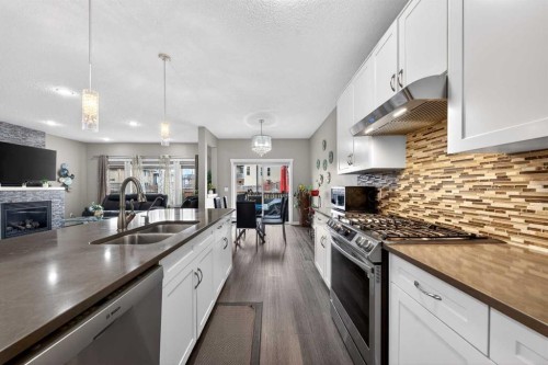 148 Walden Square Se, Calgary, AB - Indoor Photo Showing Kitchen With Double Sink With Upgraded Kitchen