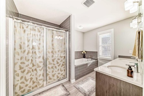 423 Redstone Drive Ne, Calgary, AB - Indoor Photo Showing Bathroom