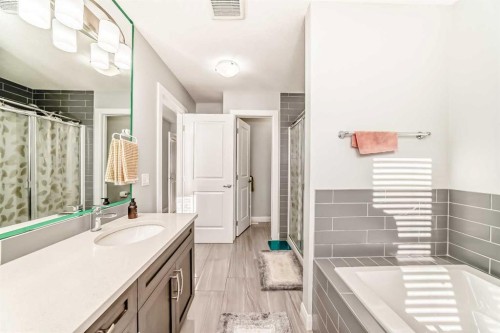 423 Redstone Drive Ne, Calgary, AB - Indoor Photo Showing Bathroom