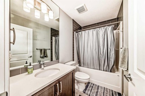 423 Redstone Drive Ne, Calgary, AB - Indoor Photo Showing Bathroom