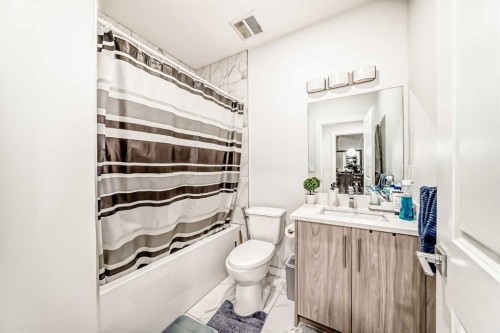 423 Redstone Drive Ne, Calgary, AB - Indoor Photo Showing Bathroom