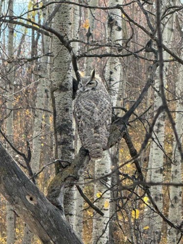 10 Chaparral Ridge Park Se, Calgary, AB - Outdoor With View