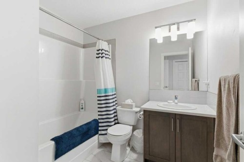410-338 Seton Circle Se, Calgary, AB - Indoor Photo Showing Bathroom
