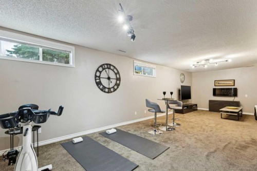 48 Deer Ridge Close Se, Calgary, AB - Indoor Photo Showing Gym Room