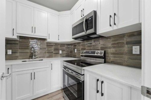 40 Cityline Manor Ne, Calgary, AB - Indoor Photo Showing Kitchen With Upgraded Kitchen