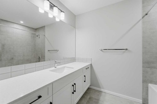40 Cityline Manor Ne, Calgary, AB - Indoor Photo Showing Bathroom