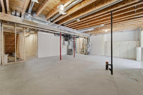 40 Cityline Manor Ne, Calgary, AB - Indoor Photo Showing Basement