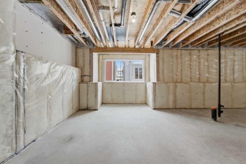 40 Cityline Manor Ne, Calgary, AB - Indoor Photo Showing Basement