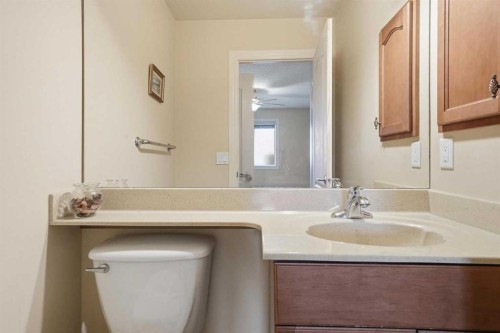 27 Saddleland Way Ne, Calgary, AB - Indoor Photo Showing Bathroom