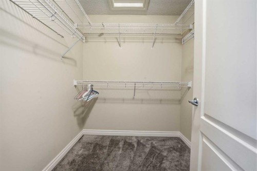 27 Saddleland Way Ne, Calgary, AB - Indoor With Storage
