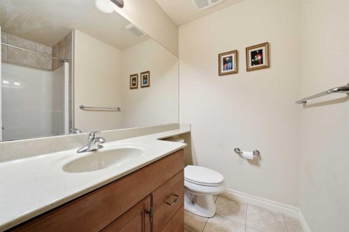 27 Saddleland Way Ne, Calgary, AB - Indoor Photo Showing Bathroom