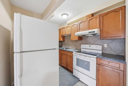 27 Saddleland Way Ne, Calgary, AB - Indoor Photo Showing Kitchen