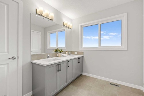 79 Mist Mountain Rise, Okotoks, AB - Indoor Photo Showing Bathroom