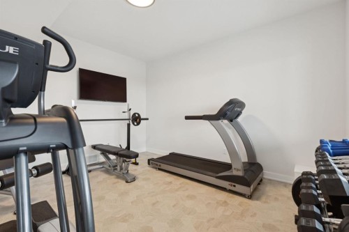 220 Precedence View, Cochrane, AB - Indoor Photo Showing Gym Room