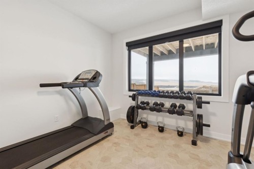 220 Precedence View, Cochrane, AB - Indoor Photo Showing Gym Room