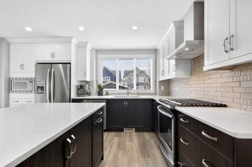 261 Masters Road Se, Calgary, AB - Indoor Photo Showing Kitchen With Upgraded Kitchen