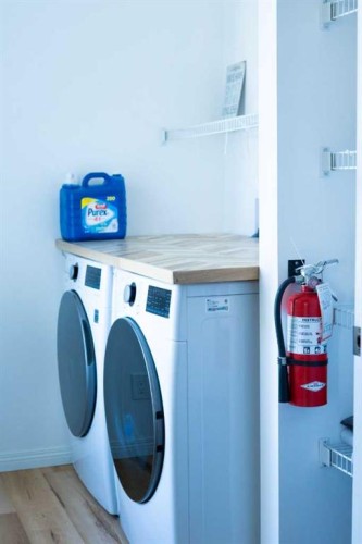 282 Chapalina Terrace Se, Calgary, AB - Indoor Photo Showing Laundry Room