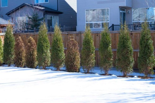 282 Chapalina Terrace Se, Calgary, AB - Outdoor