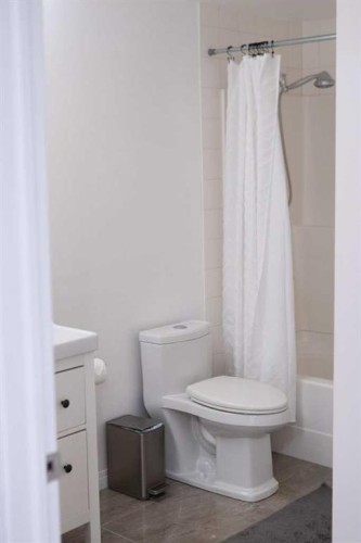 282 Chapalina Terrace Se, Calgary, AB - Indoor Photo Showing Bathroom