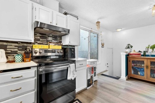 236 Mckerrell Way Se, Calgary, AB - Indoor Photo Showing Kitchen