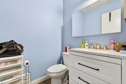236 Mckerrell Way Se, Calgary, AB - Indoor Photo Showing Bathroom