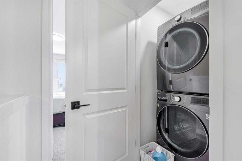 371 Fireside Way, Cochrane, AB - Indoor Photo Showing Laundry Room