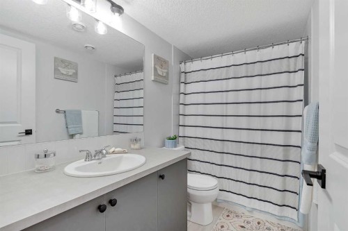 371 Fireside Way, Cochrane, AB - Indoor Photo Showing Bathroom