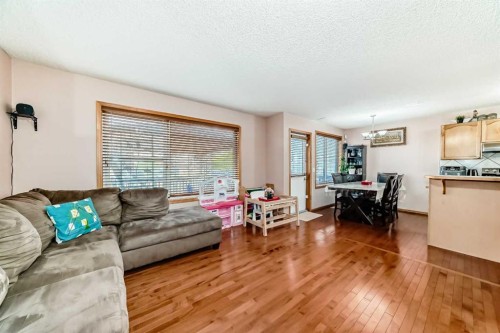 16062 Everstone Road Sw, Calgary, AB - Indoor Photo Showing Living Room