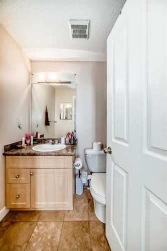 2202-333 Taravista Drive Ne, Calgary, AB - Indoor Photo Showing Bathroom