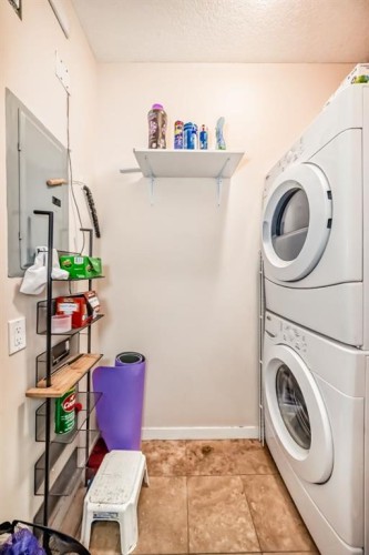 2202-333 Taravista Drive Ne, Calgary, AB - Indoor Photo Showing Laundry Room
