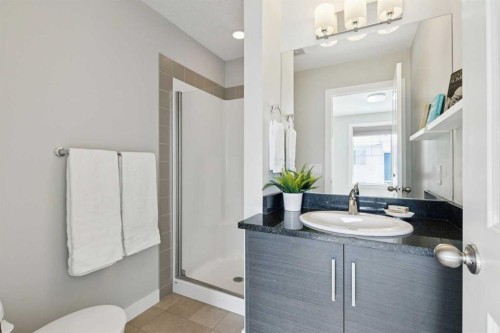 2506 Jumping Pound Common, Cochrane, AB - Indoor Photo Showing Bathroom