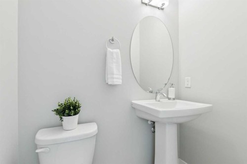2506 Jumping Pound Common, Cochrane, AB - Indoor Photo Showing Bathroom
