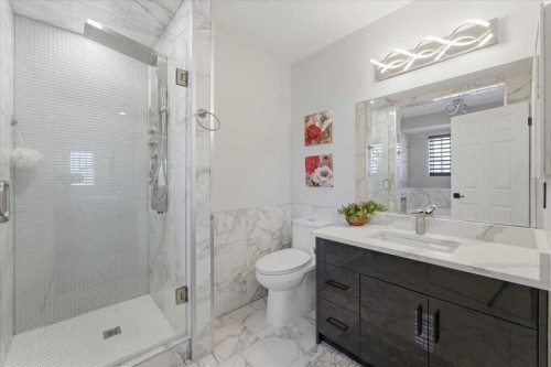 73 Saddleland Close Ne, Calgary, AB - Indoor Photo Showing Bathroom