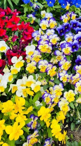 200 Edgemont Estates Drive Nw, Calgary, AB - Outdoor With View