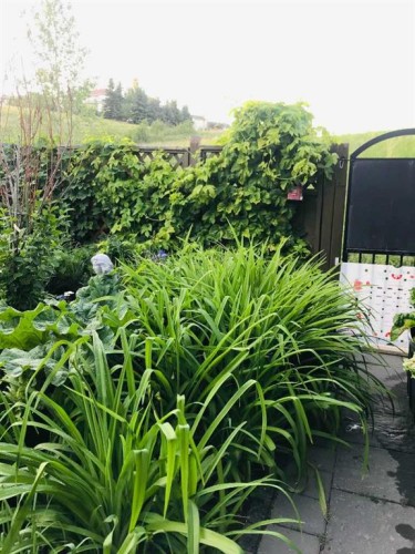 200 Edgemont Estates Drive Nw, Calgary, AB - Outdoor