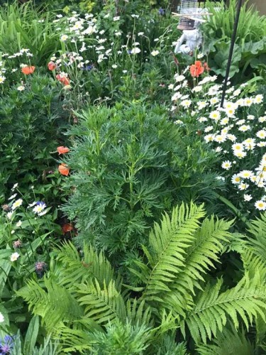 200 Edgemont Estates Drive Nw, Calgary, AB - Outdoor