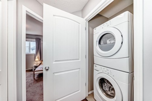44 Legacy Crescent Se, Calgary, AB - Indoor Photo Showing Laundry Room