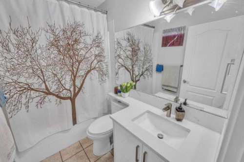 107 Taracove Landing Ne, Calgary, AB - Indoor Photo Showing Bathroom