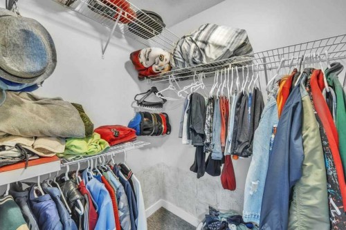 107 Taracove Landing Ne, Calgary, AB - Indoor With Storage