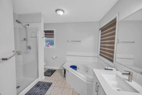 107 Taracove Landing Ne, Calgary, AB - Indoor Photo Showing Bathroom