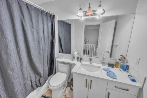 107 Taracove Landing Ne, Calgary, AB - Indoor Photo Showing Bathroom