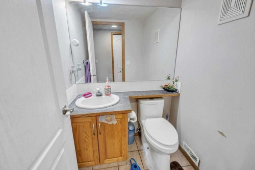 107 Taracove Landing Ne, Calgary, AB - Indoor Photo Showing Bathroom