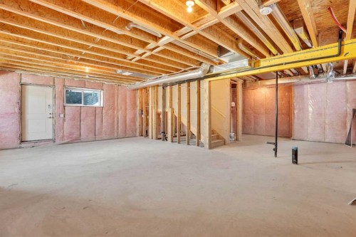 230 Kinniburgh Loop, Chestermere, AB - Indoor Photo Showing Basement