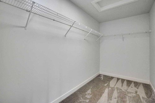 230 Kinniburgh Loop, Chestermere, AB - Indoor With Storage